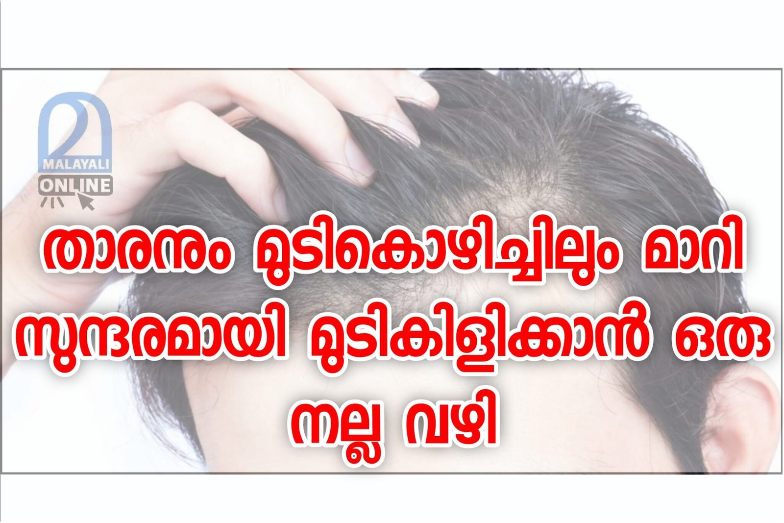 Some natural hair packs for hair to grow well - Malayali Online