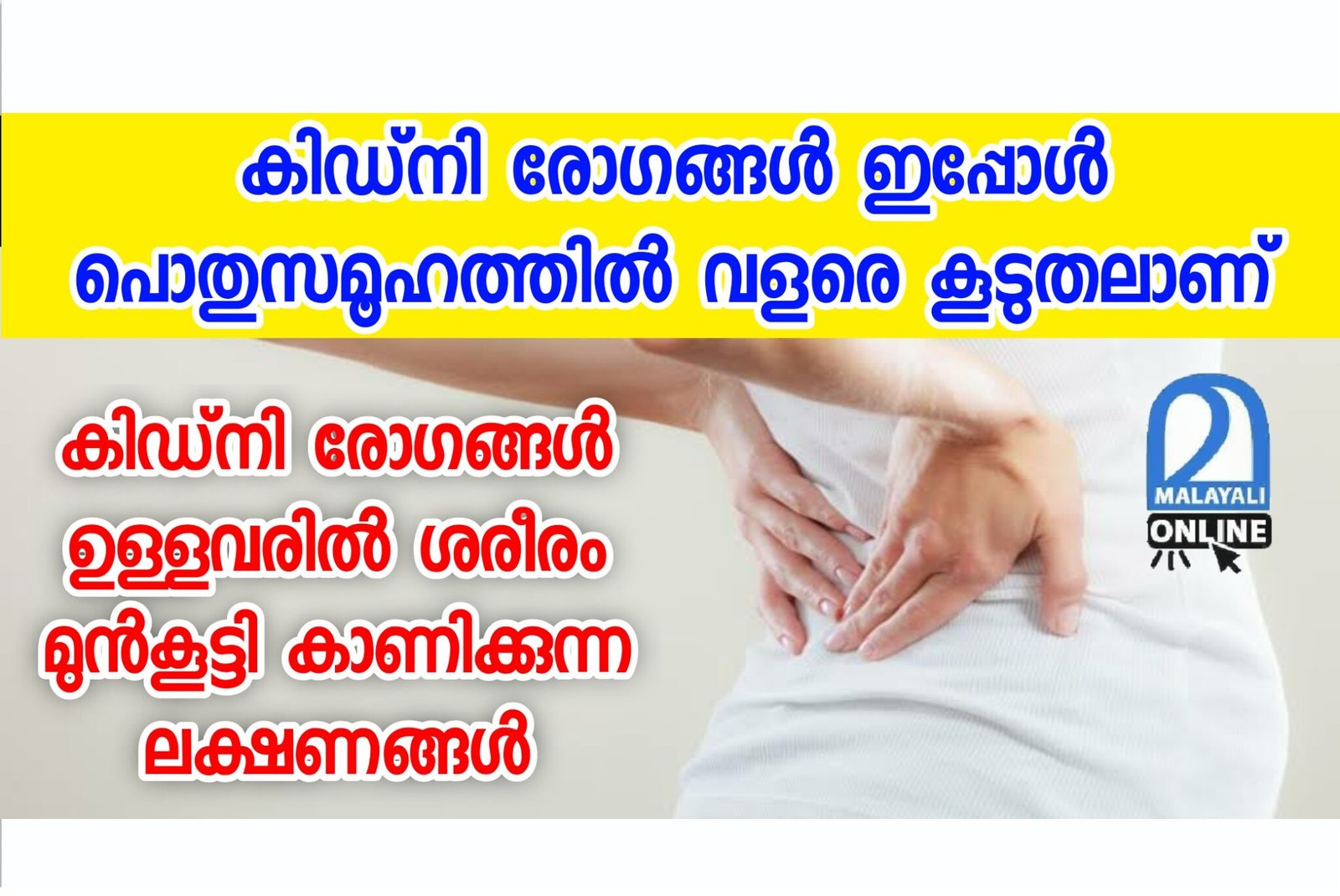 early-symptoms-of-kidney-disease-malayali-online